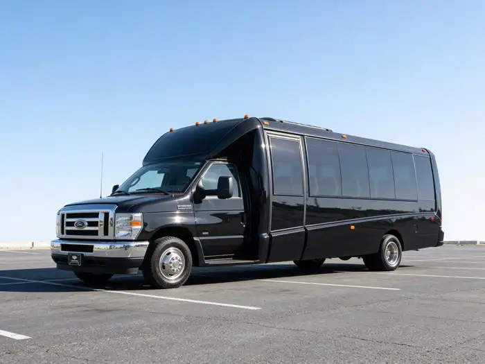 15 passenger party bus